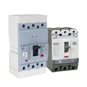 INTERRUPTORES EN CAJA MOLDEADA