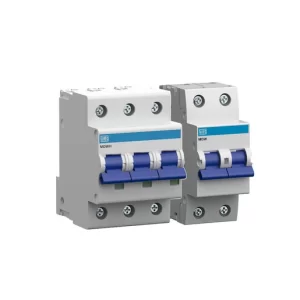 INTERRUPTORES TERMOMAGNETICOS